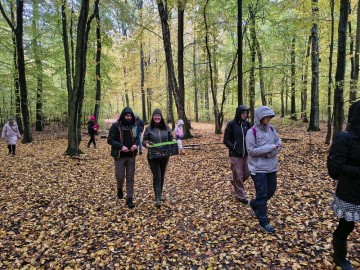 Relacja zdjęciowa z Dnia Grzyba 2025, 